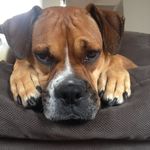 Lorraine Shields - @lorraineshields45 - Instagram
