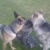 Lorraine Shields - Facebook