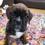Lorraine Shields - @lorraineshields37 - Instagram