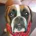 Lori Silverman - Facebook