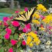 Lori Silverman Casey - Facebook