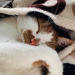 Lorraine Snell - @lorraine.snell.3388 - Instagram