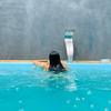 Lorraine Soares - @lohzinhaaa_044 - TikTok