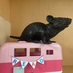 Lorraine Squires - @lorraine.squires - Instagram