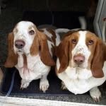 Lorraine Starling - @starlinglorraine - Instagram