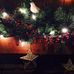 Lori Gray Steeves - Facebook