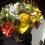 Lorraine Stephenson - @lorrainestephenson3 - Instagram