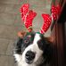 Lori Stocks - Facebook