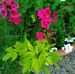 Lorraine Stringer - Facebook