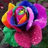 Lorraine Stringer - @lorraine.stringer - TikTok