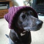 Lorraine Swanston - @lorraineswanston - Instagram