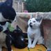 Lorraine Testa - Facebook