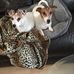 Lorraine Thornton - Facebook
