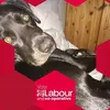 Lorraine Thornton Patrrice - @lorraine.thornton - TikTok