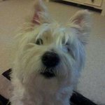 Lorraine Tierney - @lozzie2k - Instagram