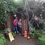 Lorraine Tierney - @tierney8765 - Instagram