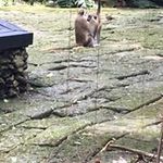 Lorraine Tracy Pawsey - @lorrainepawsey - Instagram
