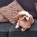 Loraine Travis - Facebook