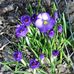 Lorraine Wade - Facebook