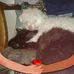 Lorraine Wade - Facebook