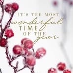 Lorraine Wall - Facebook