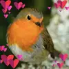 lorraineware - @lorraineware - TikTok