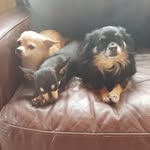 Lorraine Hunter Weir - @lorraineweir72 - Instagram