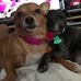 Lorraine Witt - Facebook