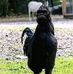 Yeesha Lorraine Rellin - Facebook