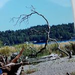 Lorri Johnson - @lorriwith2rs - Instagram