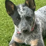 Lorri Johnson Keyser - @lorrikeyser - Instagram