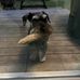 Lorri Kelly - Facebook
