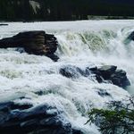 Lorri Taylor - @lorri.taylor1273 - Instagram