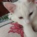 Lorrie West - Facebook