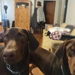 Lori Alexander - @lorialexander61 - Instagram