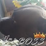 Lori Barnes - @lori.barnes.9849 - Instagram