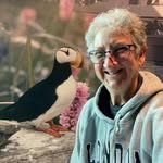 Lorrie Barnes - @jqyuyf1462 - Instagram
