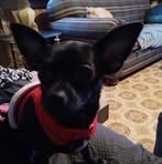 Lorrie Barnes - Facebook