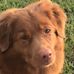 Lorie Bates - Facebook