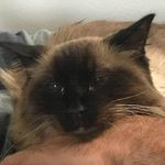 Lorrie Bates - @mclorrie - Instagram
