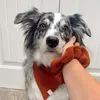 Lorrie Bean - @lorrietheaussie - TikTok