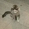 lorriebeans - @lorriebeans - TikTok
