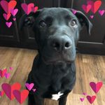Lorrie Beck - @northbeck - Instagram