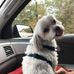 Lori Belcher - Facebook