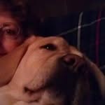 Lorrie Bell - @lorriejbell - Instagram