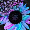 Lorri Bradley - @user90654704700986 - TikTok