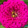 Lori Chaney - @lori.chaney1 - TikTok