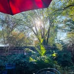 Lori Chaney Sharer - @lorisharer - Instagram