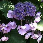 Lori Clifton - @lori.clifton.56 - Instagram