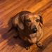 Lorrie Clifton - Facebook